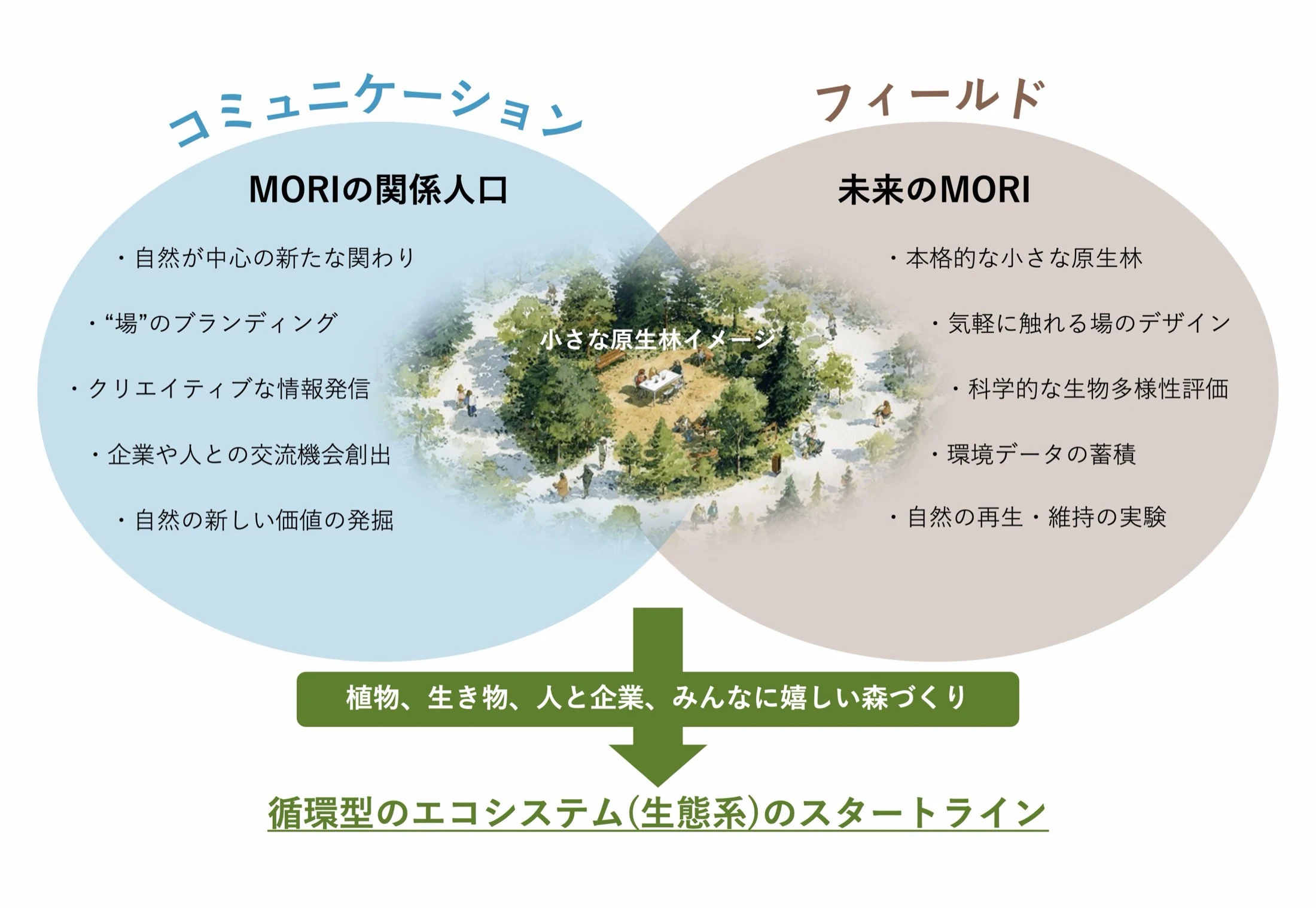 MORIGAWAの事業概要図。「MORIの関係人口」（自然が中心の新たな関わり／"場"のブランディング／クリエイティブな情報発信／企業や人との交流機会創出／自然の新しい価値の発掘）と「未来のMORI」（本格的な小さな原生林／気軽に触れる場のデザイン／科学的な生物多様性評価／環境データの蓄積／自然の再生・維持の実験）の二つが重なり、植物・生き物・人と企業みんなに嬉しい森づくりを経て、循環型のエコシステム（生態系）のスタートラインに至ることを示す図。